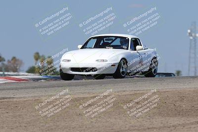 media/Oct-04-2025-OnGrid (Sat) [[44bd565ffa]]/Purple Group/Grapevine/